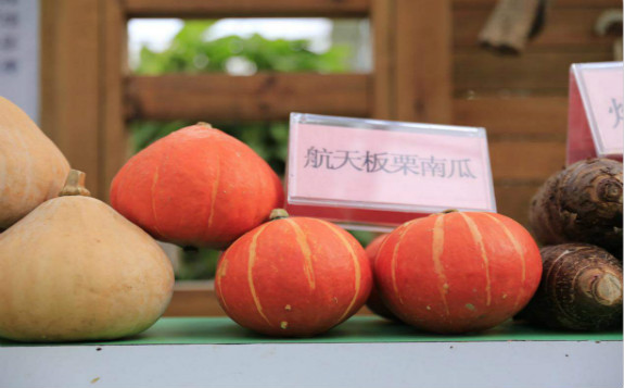 太空育種：緩解糧食危機？