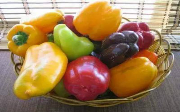擔心食物太快過期？俄公司擬用電離輻射延長保質期