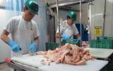 利用核技術改善哥斯達黎加的食品安全 