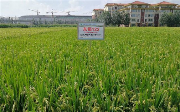核技術