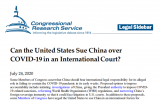 美國國會議員討論就COVID-19在國際法院起訴中國
