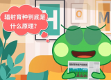 輻射育種與轉(zhuǎn)基因