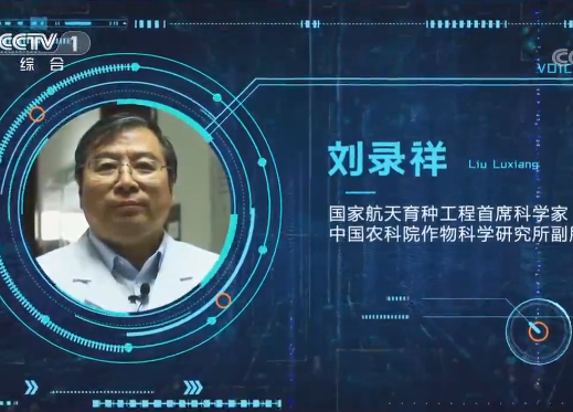 茄子像南瓜、豆角幾尺長,航天育種絕不是你想的那樣!