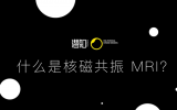 醫學三大影像技術之一：核磁共振原理科普
