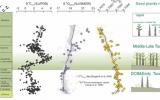 <p>種子植物的輻射可能是觸發(fā)晚古生代冰期直接原因</p>
