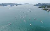 國際原子能機構邀韓專家參與日本核污水排放檢驗小組