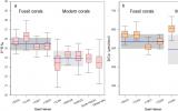 廣州地化所、深地科學(xué)卓越創(chuàng)新中心在揭示珊瑚硼同位素體系個(gè)體差異及重建過去一千年海水pH變化記錄取得新進(jìn)展