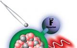 創造和研究放射性分子，推動核結構和基本對稱性研究