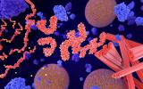 MIT科學(xué)家利用核磁共振(NMR)光譜來探索，闡明tau蛋白纏結(jié)具有隨機(jī)性