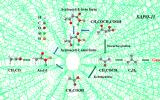 中國科學院大連化學物理研究所揭示分子篩催化乙烯酮轉化制汽油反應機制