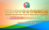 安全感拉滿！同方威視護(hù)航2024中非合作論壇峰會(huì)