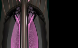 Tokamak Energy首次公布其高場球形托卡馬克電廠的設計細節